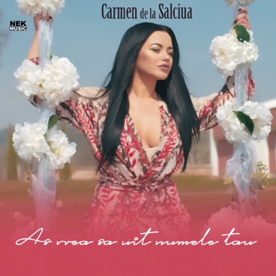 Song - As Vrea Sa Uit Numele Tau - Carmen de la Salciua