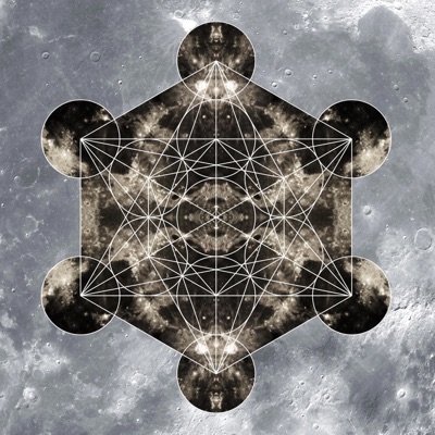 FaceMelt (feat. The Wookie Monsta) - Single