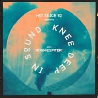 Hot Since 82 Presents: Knee Deep In Sound with Ronnie Spiteri (DJ Mix) - Ronnie Spiteri