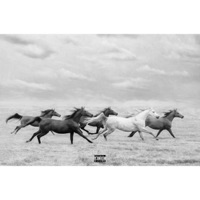 Nevermind - Single - Roman Hotel