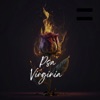 PSA Virginia (feat. Mac Lerny, Wiz Follyfa, Shawty Boy & Jimmmiemanne) - Single