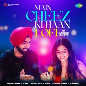 Main Cheez Ki Haan (Lofi)