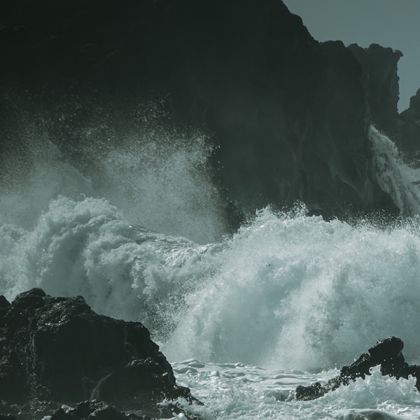 The Waves - Single