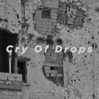 Cry of Drops - Single - Nelson Fuentes Pfeiffer