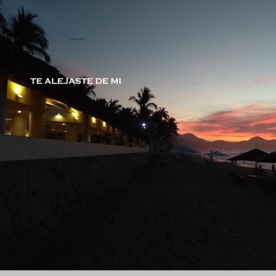 TE ALEJASTE DE MI (feat. SHAO LEAN) [Special Version] - Single