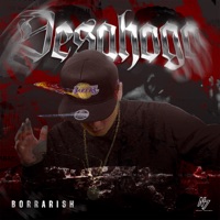 Desahogo - Single - Borrarish