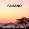 PAISANO - PELUCHE ON THE TRACK lyrics
