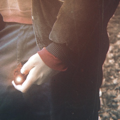 Pourquoi - Single