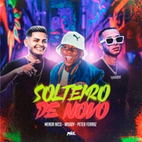Solteiro de Novo - Single - Woody, Menor Nico & Petter Ferraz