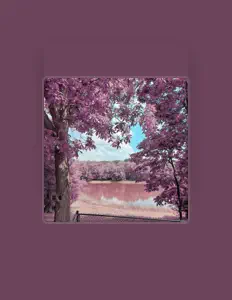 收听 payne、观看音乐视频、阅读小传、查看巡演日期等 ！