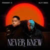 Never Knew cover art
