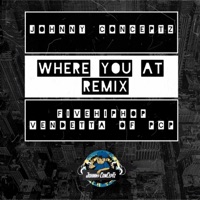 Where You At (feat. Five HipHop & Vendetta of PcP) [Remix] - Single - Johnny Conceptz