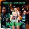 Stream & download Dame Mary - Single