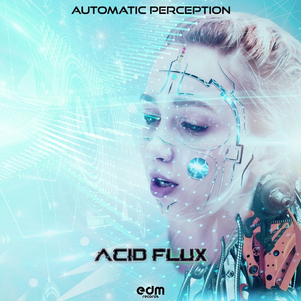 Automatic Perception - EP