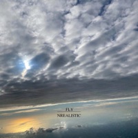 Fly - Single - NRealistic