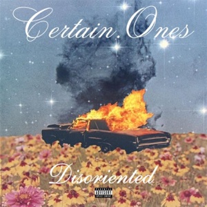 Disoriented (feat. Bobby Craves, Raw Thesus, Aztek the Barfly & Wann Sklobi)