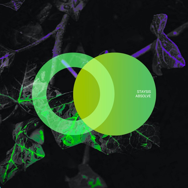 Absolve - Single