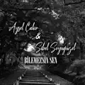 Bilemezsin Sen