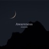 Awareness - Single