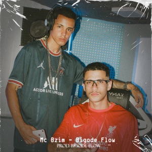 Mal Intencionada (feat. mc bzim)