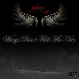 Wings Don't Fail Me Now Joon D.
