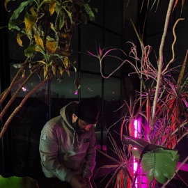 Static (REPRISE) Noel