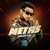 Metas - Single - NAKAZIN & Pejota