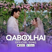 QaboolHai - Single - Shafqat Amanat Ali & QaboolHai