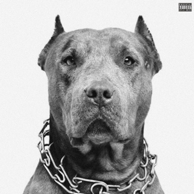 PITS (feat. SVS Deno) - Single