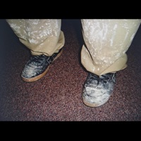 The Hidden Pool - Single - [stranded]