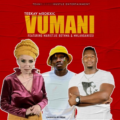 Vumani (feat. Mariejtie Bothma & Mhlanganissi) - Single