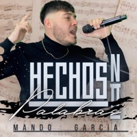 HECHOS NO PALABRAS - Single - Mando Garcia