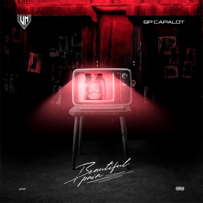 Beautiful Pain - Single