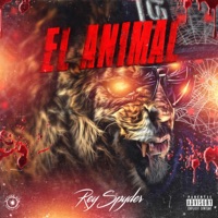 EL Animal - Rey Spyder