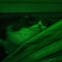 Venin Freestyle - Single - Grepy