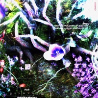 teleportieren - Single - Yakama