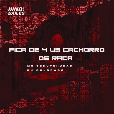 Fica de 4 Vs Cachorro de Raça - Single