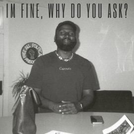 Bronze Try Hard Capt.Pigment