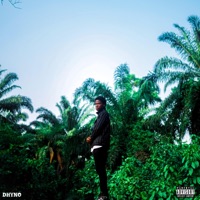 No signal (Sped Up) - Single - Dhyno