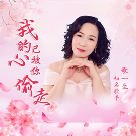 我的心已被你偷走 (舞曲女版) 歌一生
