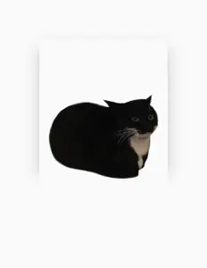 Listen to Catbycat, watch music videos, read bio, see tour dates & more!