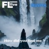 How Did You Find Me? - Single