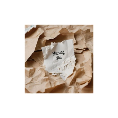 Missing You - Single