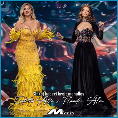 Shkoj Haberi Krejt Mahalles - Single