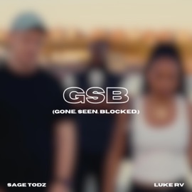 Gsb Sage Todz & Luke RV