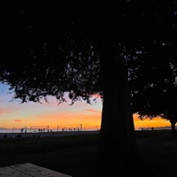 Sad - Single - DannyBoyDaLoK