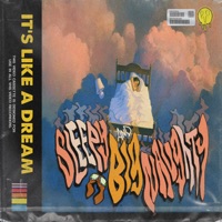 Like a Dream (feat. BIG Naughty) - Single - SLEEPY