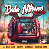 Bula Nthweo (feat. Jelly Babie, Xduppy, Uncool MC & Ricky Lenyora) artwork