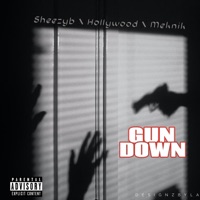 Gun Down (feat. HOLLYWOOD & MEKNIK) - Single - Sheezyb