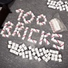 WALLET (100 BRICKS) - Single